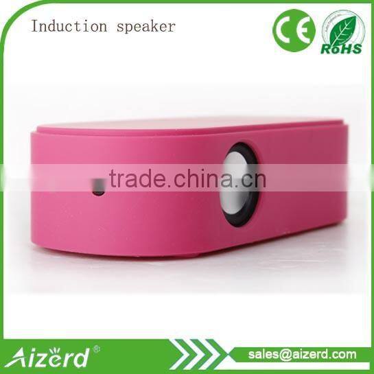 Easy and convenient amplifier speaker