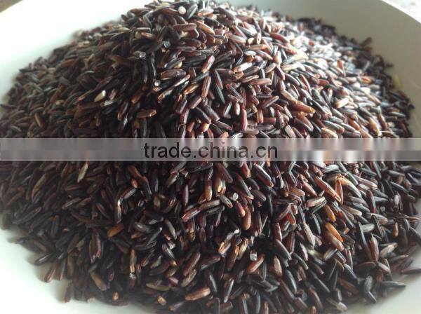 Organic Rice Berry from Thailand OEM
