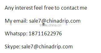 Drip Irrigation in Potato,Tomato,Garden,Agriculture,Tree,Nursery