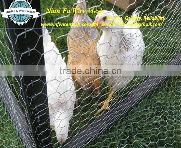 chicken netting (Factoryof Guangzhou)