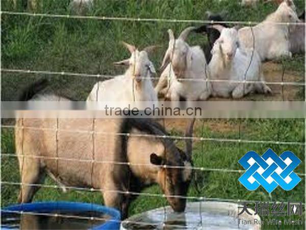 grassland sheep mesh wire fencing/cow fence/field fence factory direct supply