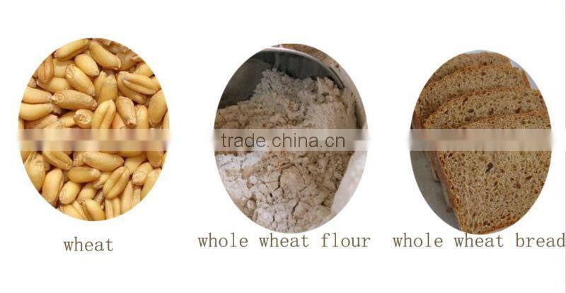 cheap price stainless steel dry vegetable grinding machine