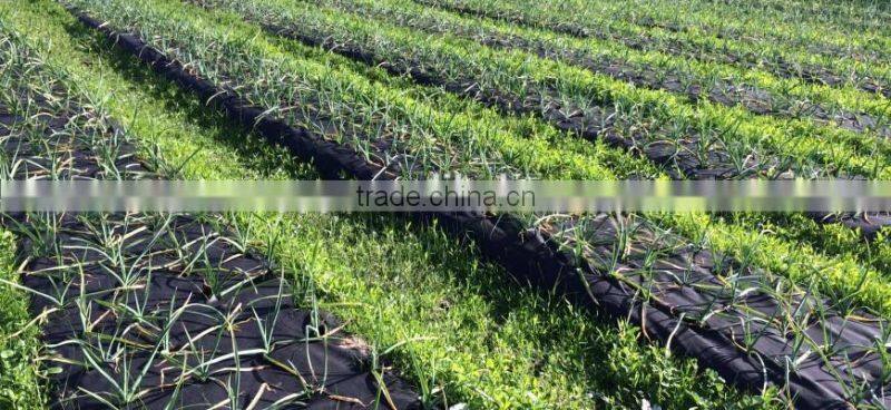 agricultural plant anti root fabric/black weed control weed mat/black weed barrier fabric matting