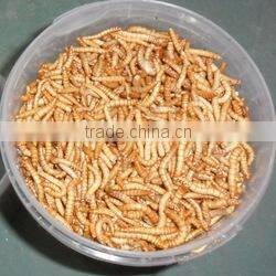 dried mealworms with best quality and reseasonable price
