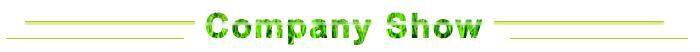 Fentech Widely Used Pvc/Vinyl/Plastic Temporary Fence