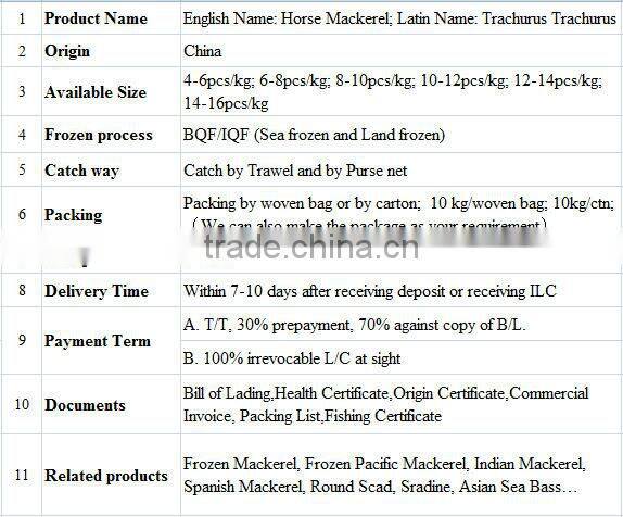 Frozen Seafood Horse Mackerel Fish Suppliers in China