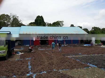 Sell Gracilaria, Eucheuma Spinosum And Eucheuma Cottoni Seaweeds