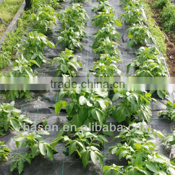 pp nonwoven fabric for weed control used in agriculture China manufacturers