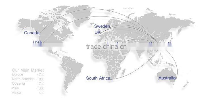 Customized 2015 Top Quality New Design Digital Printing 100% Silk Satin Dresses