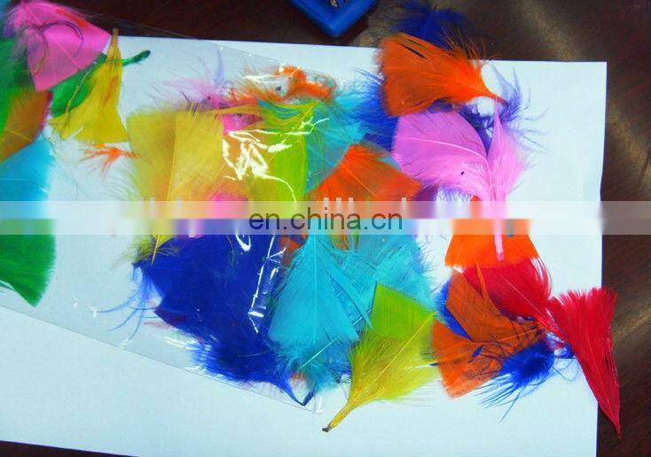 pheasant feather for decorate