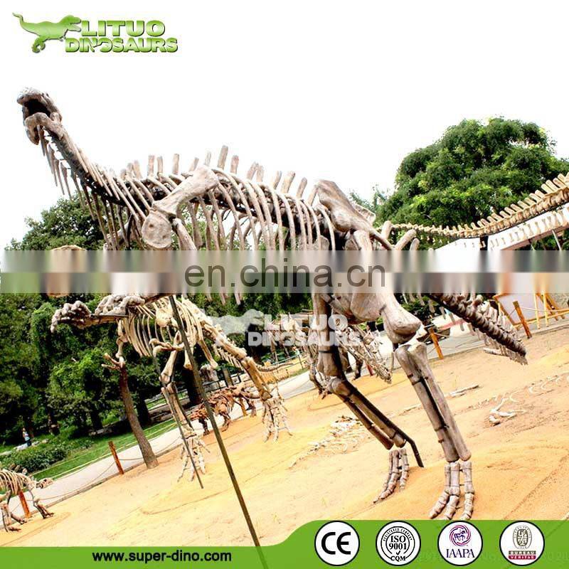 Amusement Theme Park Exhibition Dinosaur Fossil
