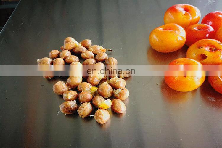 One class Factory OLQH-190 model plum seed core pit remover separator machine on sale