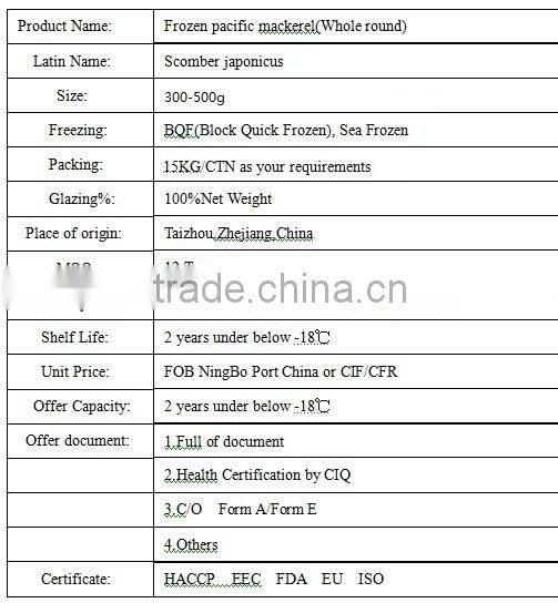 Big Size Whole Round Frozen Mackerel Pacific Mackerel