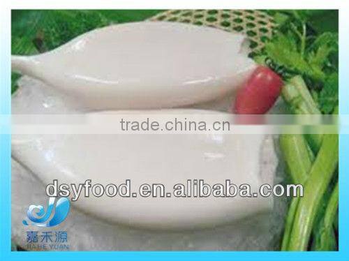 various frozen squid product market
