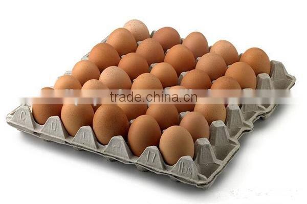 30 eco-friendly paper pulp egg tray