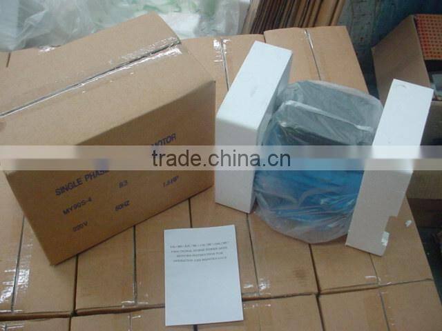 MS Aluminum Three Phase Motor