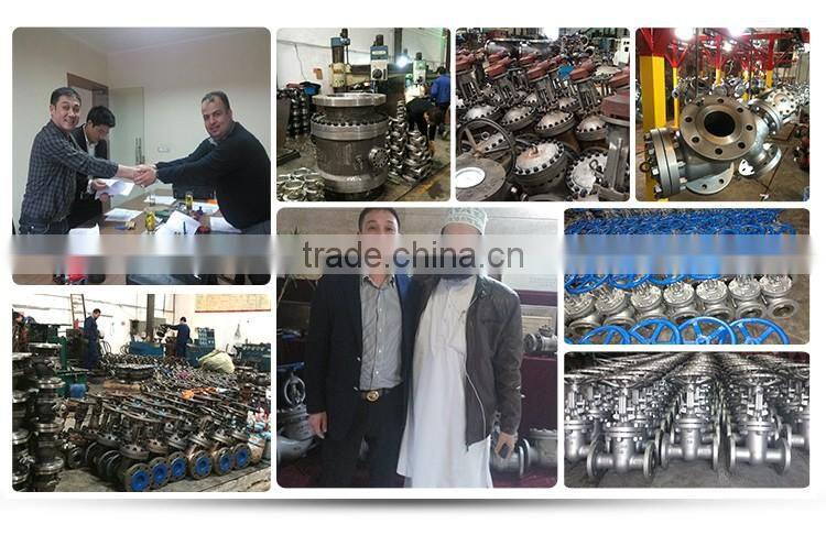 Wholesale 150lb stainless steel cf8m flanged Y strainer