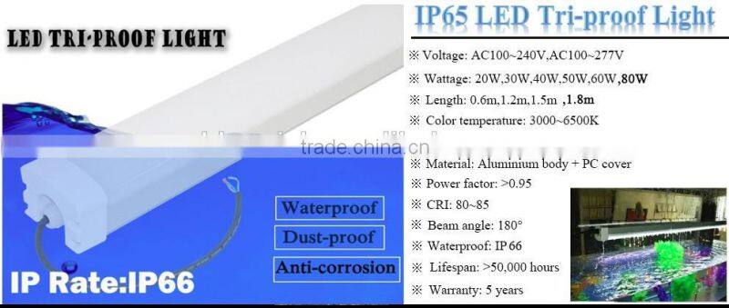 High quality Shenzhen factory emergency led tri proof lamp