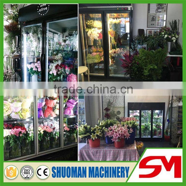 High capacity imported compressor flowers showcase chiller