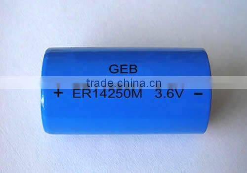 3.6v lithium battery 1/2aa er14250m , dry cell lisocl2 batteries for GPS/GAS meters