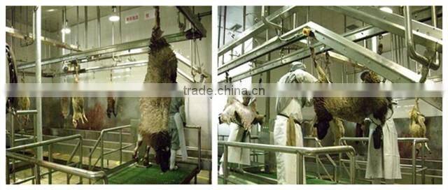 goat slaughter equipment for slaughterhouse project