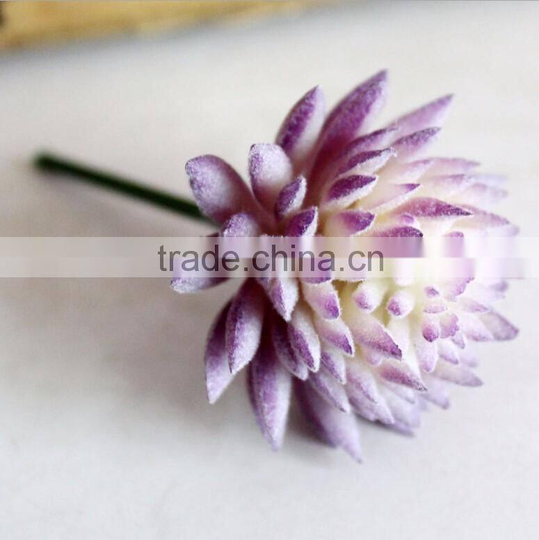 Wholesale Artificial Succulent Plants Mini Succulent Plants Succulent Plants Tropical Plants