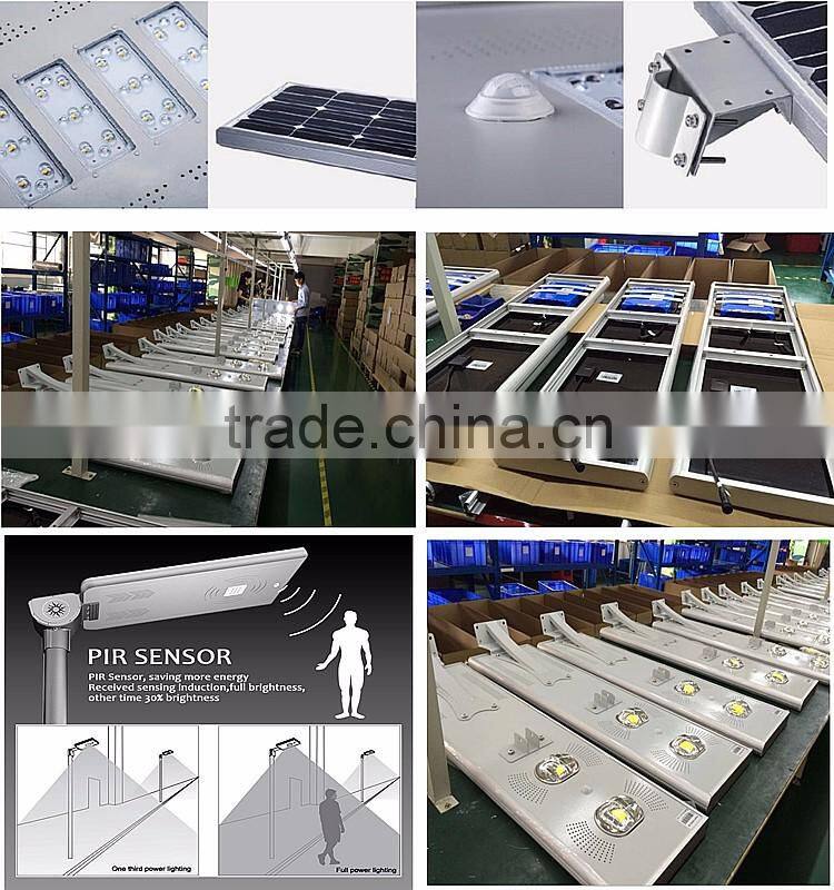 COB Intelligent PIR Motion Sensor Solar LED Street Light 15W 18W 20W 30W 40W 50W 60W
