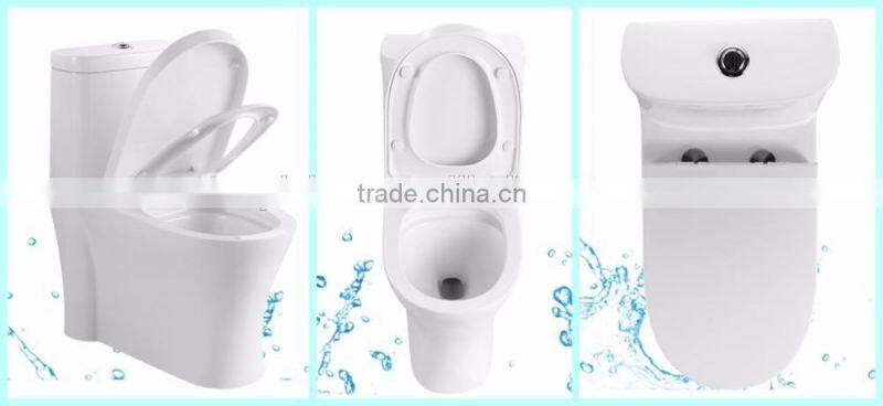 Bathroom Sanitary Items Self Clean Toilet