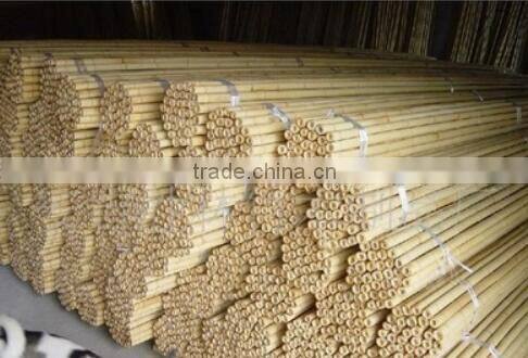 Homestar Cheap Bamboo Fence Designs / Natural cheap Roll bamboo fence For Sale