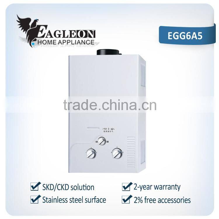 High efficient 6L stainless steel Portable Instant Flue type Gas Water heater EGG6A5