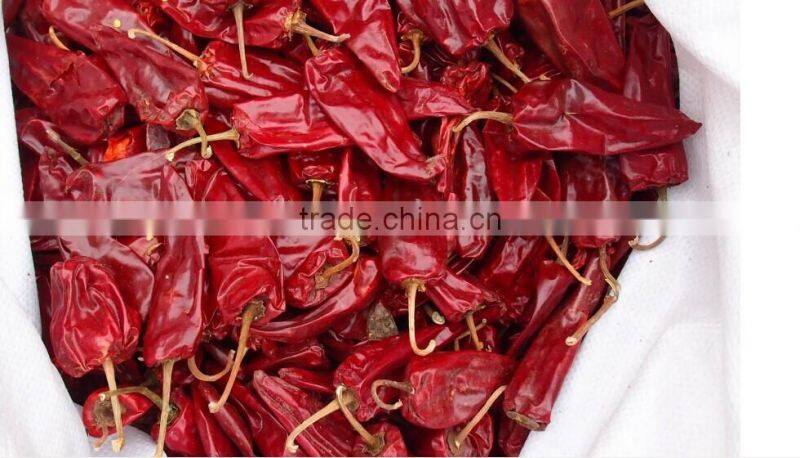 yidu chilli