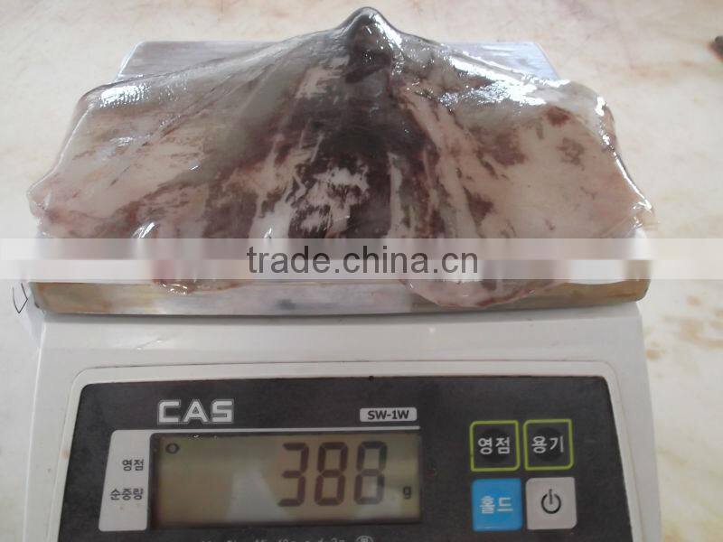 MEXICAN GIANT SQUID WINGS