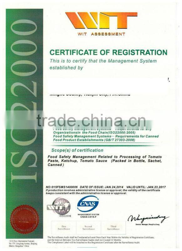 oem brand super seasoning food flavor fresh tomato paste ketchup