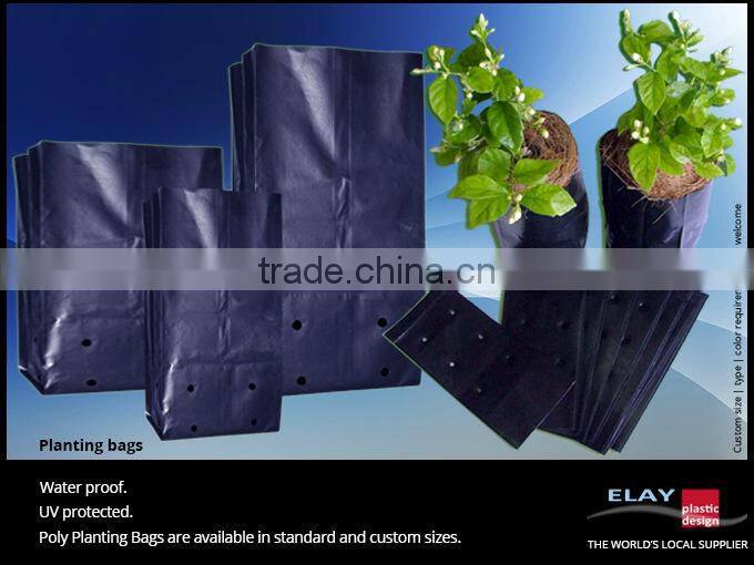 Planting tray