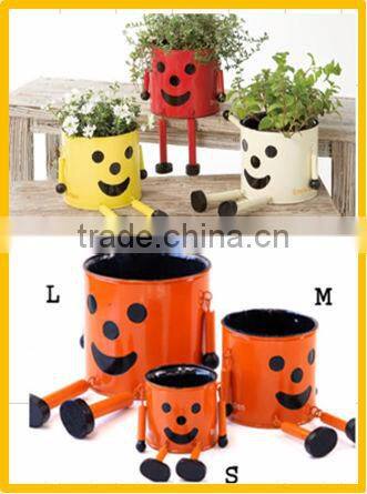 Cute and Unique plant pot Flower pot for For foliage OEM available