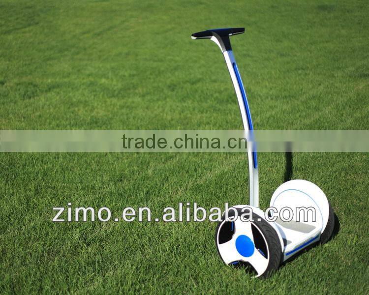 Self Balancing Electric Personal Transporter