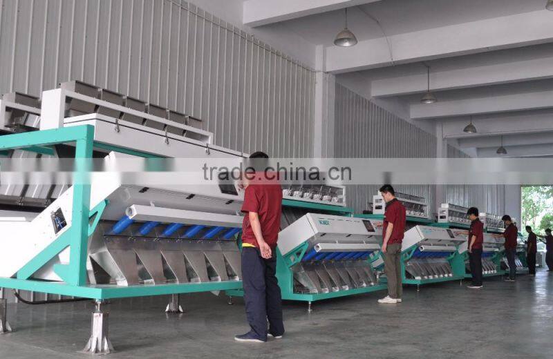 New software and design CCD belt type seafood shrimp color sorter machine