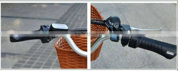 2015 High Quality 250W 26" Electric Bicycle Bike with EN15194 and EN14764 (EL06S)