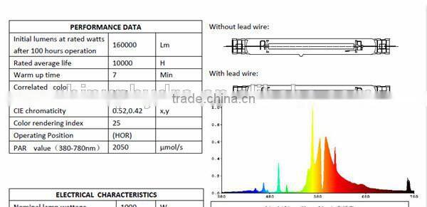 220v 240v hydroponics electronic ballast/ dimmable 1000 watt lighting box ballast/ 1000 watt double ended ballast