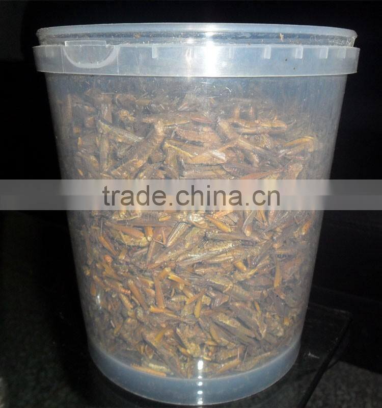 China Alibaba Member Supply Organic Food Dried Locusts
