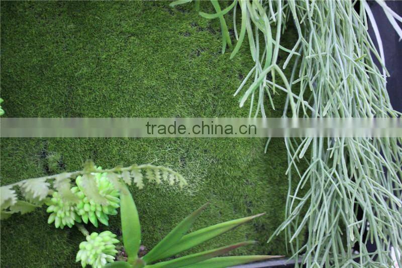 for home garden tiles deco 100*100cm paint color indoor artificial succlent boutique plant wall laminate combinations Ejq10 1203