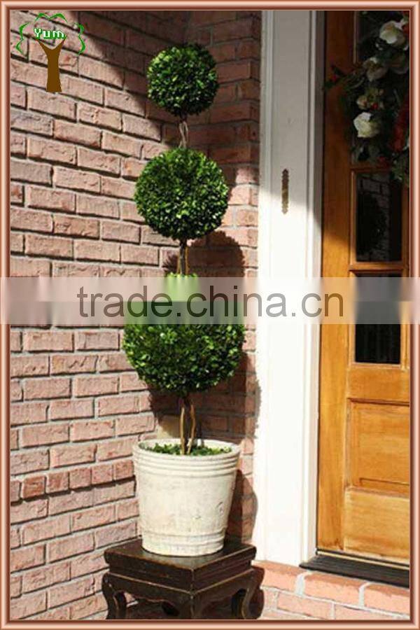 white potted preserved triple boxwood balls tree