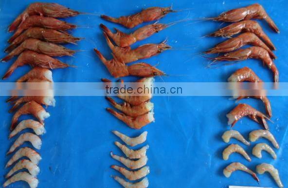 assured quality frozen Vannamei shrimp from China competitive price