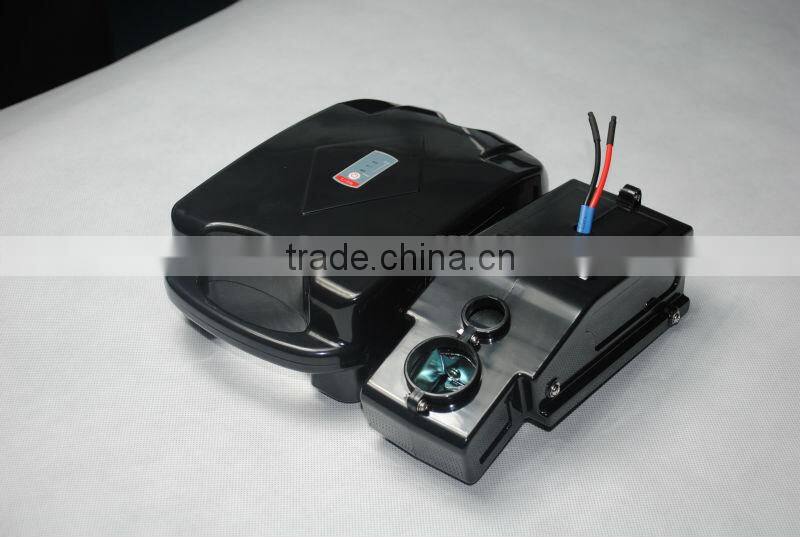 frog style ebkie battery 24V LiFePO4 battery