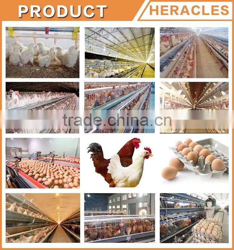 Heracles automatic chicken poultry farm layer cages for sale in zimbabwe
