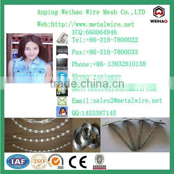 hot sell high qualiy dry wall screw by china screw manufacturer