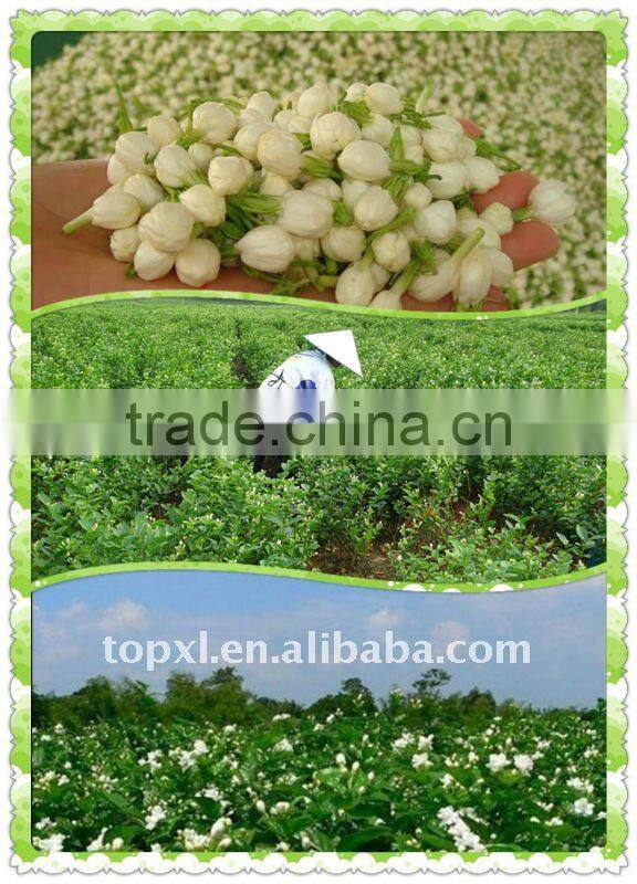 jasmine flower extract-fruit juice flavours