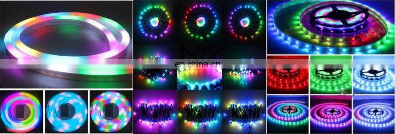 WS2812B WS2811 5V 12V 24V digital Smart RGB color changing 5cm cuttable addressable led neon rope light