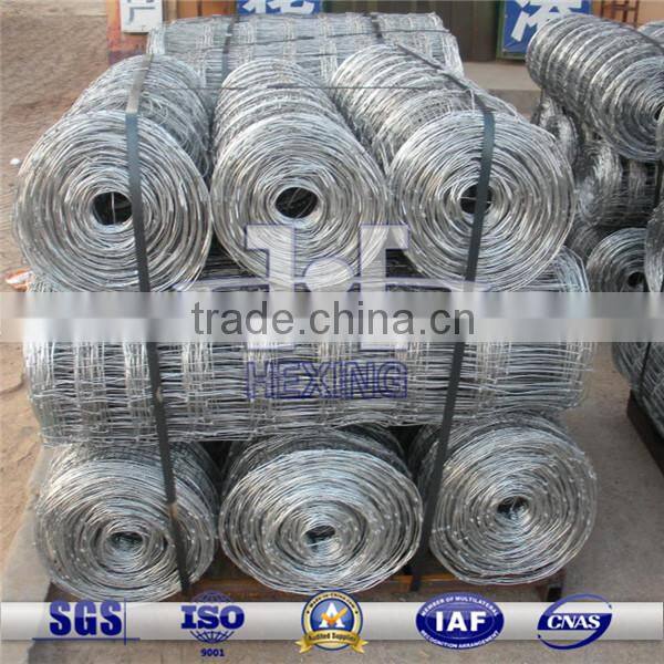 Galvanized Farm Fence/Grassland Fence from Anping Factory