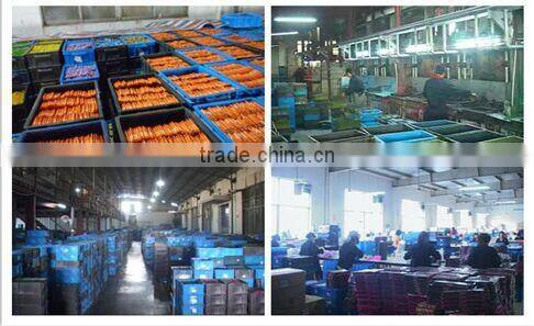 6ct finger crayons ARTOYS A0033